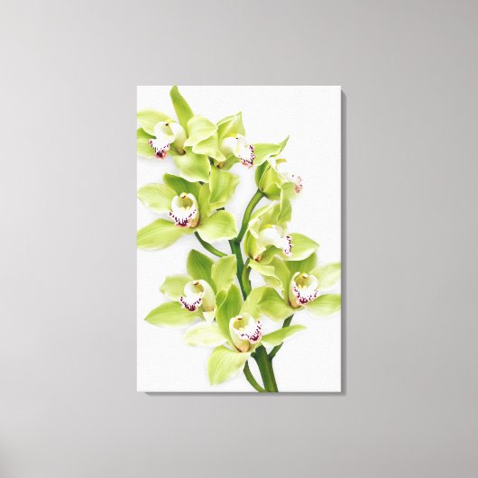 Toile enrobée verte Cymbidium Orchidée Imprimer (Recto)
