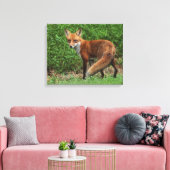 Toile enroulée (Insitu(Salon))