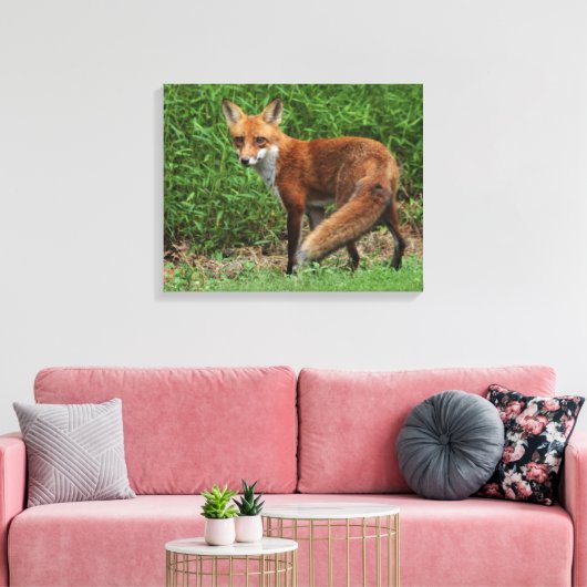 Toile enroulée (Insitu(Salon))