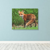 Toile enroulée (Insitu (Plancher de Bois))