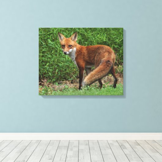 Toile enroulée (Insitu (Plancher de Bois))