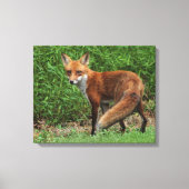 Toile enroulée (Recto)