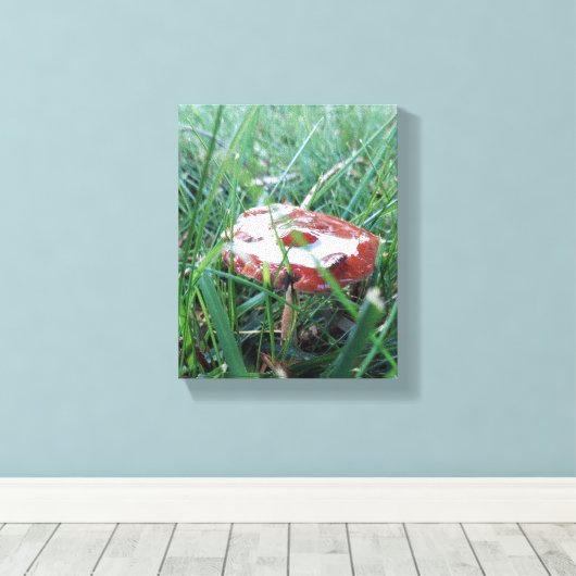 Toile enroulée (Insitu (Plancher de Bois))