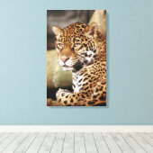 Toile enroulée de jaguar (Insitu (Plancher de Bois))