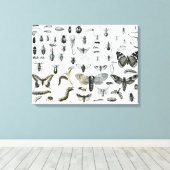 Toile Entomologie (Insitu (Plancher de Bois))