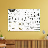 Toile Entomologie, Myriapoda et Arachnida (Insitu(Salon))