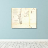Toile Entrée San Diego (Insitu (Plancher de Bois))