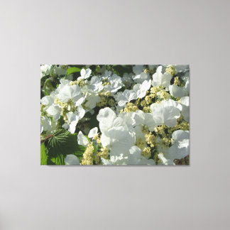 Toile - Enveloppé - Double Viburnum I