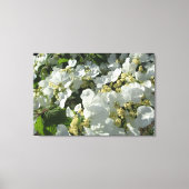 Toile - Enveloppé - Double Viburnum I (Recto)