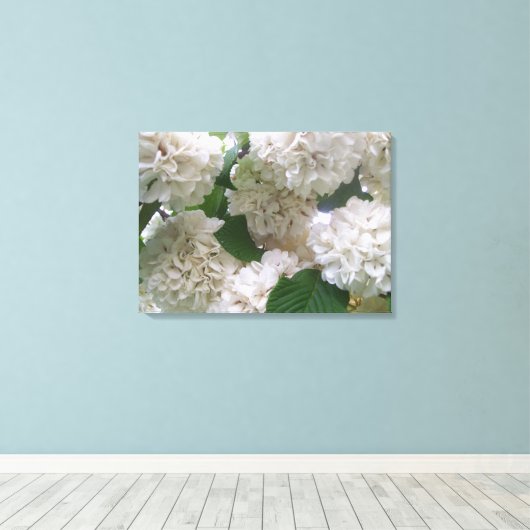 Toile - Enveloppé - Hydrangeas blanches l (Insitu (Plancher de Bois))
