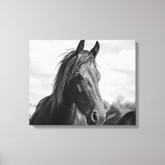 toile enveloppée à la tête de cheval (Recto)