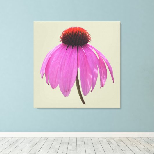 Toile - Enveloppée - Confleur pourpre - Echinacea (Insitu (Plancher de Bois))