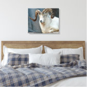 Toile enveloppée Dall Sheep (Insitu(Chambre))