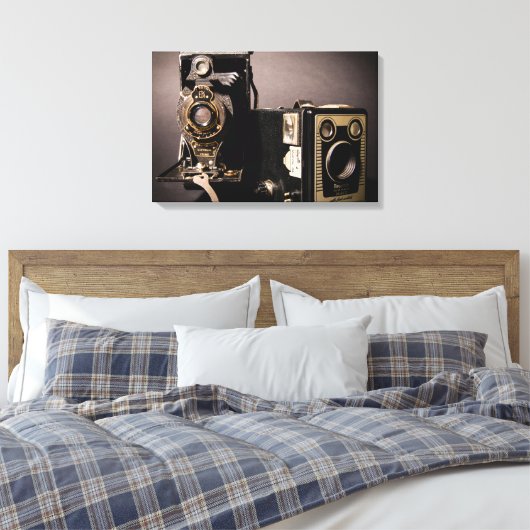 toile enveloppée de caméras vintages (Insitu(Chambre))
