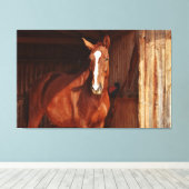 toile enveloppée de cheval de grange (Insitu (Plancher de Bois))