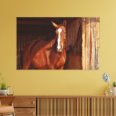 toile enveloppée de cheval de grange (Insitu(Salon))