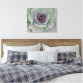 Toile Enveloppée de chou pourpre (Insitu(Chambre))