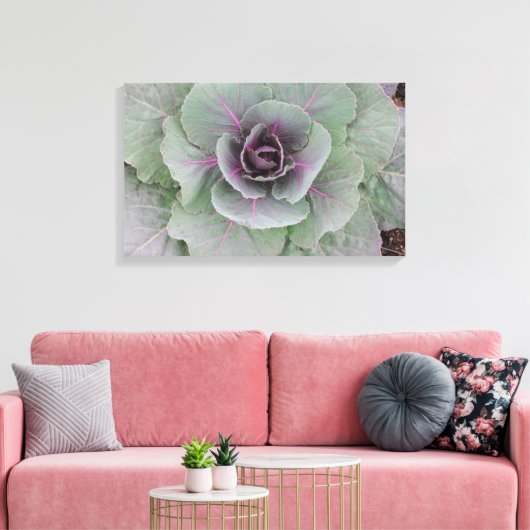 Toile Enveloppée de chou pourpre (Insitu(Salon))