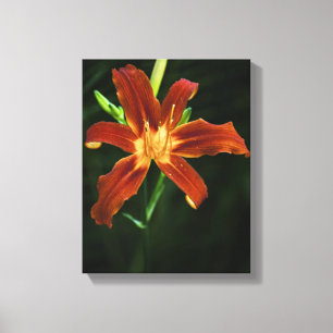 Toile Enveloppée De Flamme De Jardin