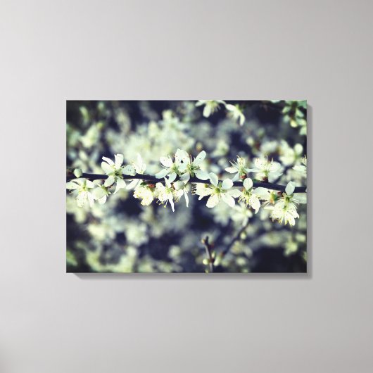 Toile Enveloppée de fleurs de printemps (Recto)