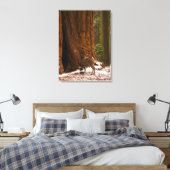Toile Enveloppée de Mule Deer (Insitu(Chambre))