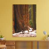 Toile Enveloppée de Mule Deer (Insitu(Salon))