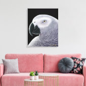 Toile enveloppée de perroquet gris d'Afrique (Insitu(Salon))