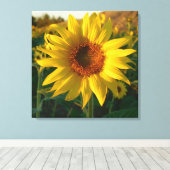 Toile Enveloppée De Tournesol (Insitu (Plancher de Bois))