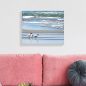 Toile enveloppée de trois sternes communes (Insitu(Salon))