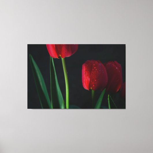 Toile Enveloppée De Tulipes Rouges (Recto)