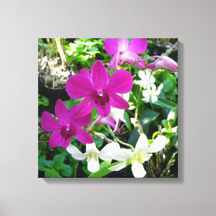 Toile Enveloppée d'orchidées magenta