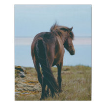 Toile Enveloppée Faux Imprimer - Cheval Pittoresqu