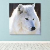 Toile enveloppée/Loup blanc teint vert (Insitu (Plancher de Bois))