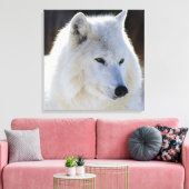 Toile enveloppée/Loup blanc teint vert (Insitu(Salon))