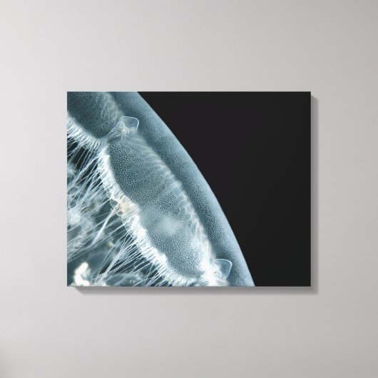 Toile Enveloppée Lune (Recto)