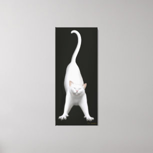 Toile enveloppée par chat blanc s'étendante