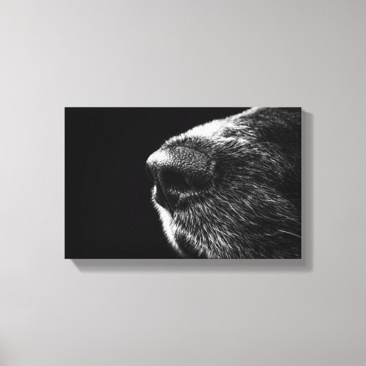 Toile enveloppée par le noeud de chien (Recto)