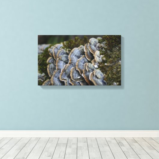 Toile Enveloppée Photo Arbre De Champignons (Insitu (Plancher de Bois))