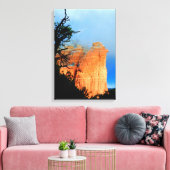 toile enveloppée roche café (Insitu(Salon))