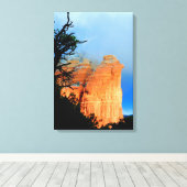 toile enveloppée roche café (Insitu (Plancher de Bois))