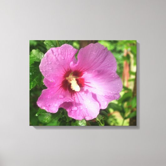 Toile - Enveloppée - Rose rose de Sharon (Recto)