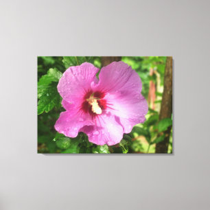 Toile - Enveloppée - Rose rose de Sharon