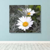Toile enveloppée Shasta Daisies (Insitu (Plancher de Bois))