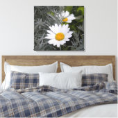 Toile enveloppée Shasta Daisies (Insitu(Chambre))