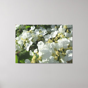 Toile - enveloppée - Viburnum de Doublefile I