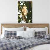Toile Épervier  (Insitu(Chambre))