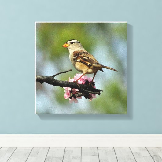 Toile Épervier blanc (Insitu (Plancher de Bois))