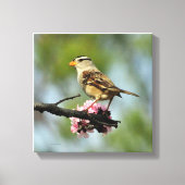 Toile Épervier blanc (Recto)