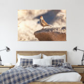 Toile Épervier sur le rocher (Insitu(Chambre))