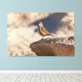 Toile Épervier sur le rocher (Insitu (Plancher de Bois))